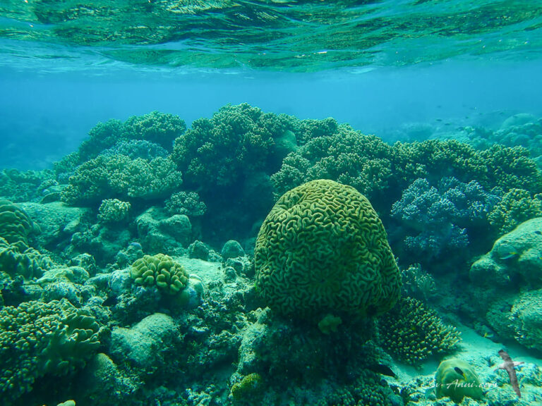 Sudbury Reef Space: Exploring the space around Sudbury Reef.