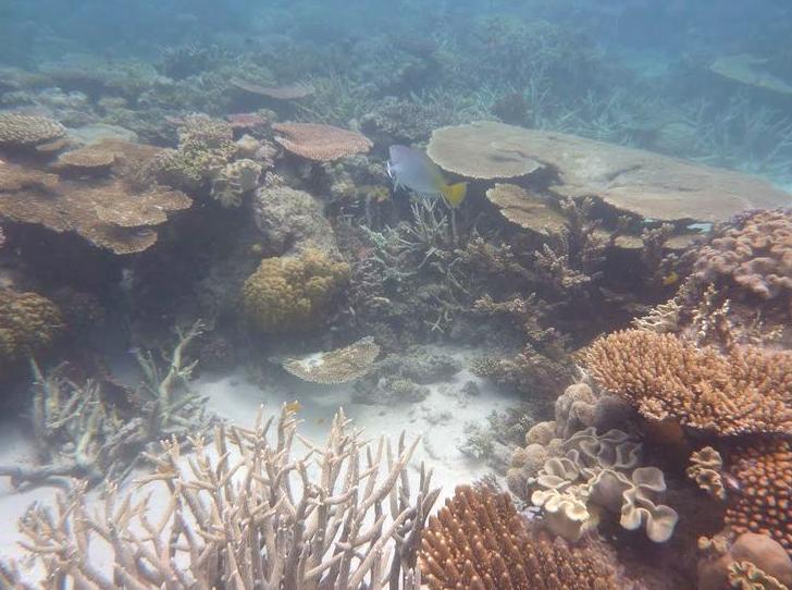 Discovering the Area Surrounding Sudbury Reef